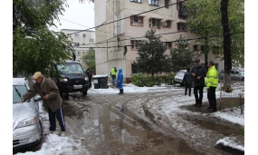 Acțiune de îndepărtare a arborilor cazuți în urma ninsorii - 20 aprilie 2017
