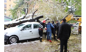 Acțiune de îndepărtare a arborilor cazuți în urma ninsorii - 20 aprilie 2017