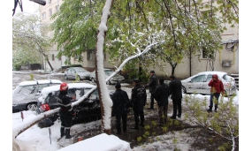 Acțiune de îndepărtare a arborilor cazuți în urma ninsorii - 20 aprilie 2017