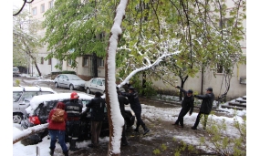 Acțiune de îndepărtare a arborilor cazuți în urma ninsorii - 20 aprilie 2017