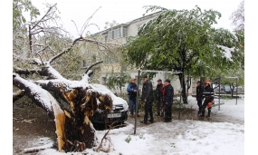 Acțiune de îndepărtare a arborilor cazuți în urma ninsorii - 20 aprilie 2017
