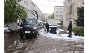 Acțiune de îndepărtare a arborilor cazuți în urma ninsorii - 20 aprilie 2017