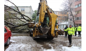 Acțiune de îndepărtare a arborilor cazuți în urma ninsorii - 20 aprilie 2017