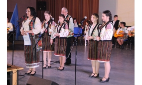 Ziua Culturii - 15 ianuarie 2018