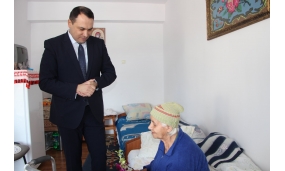 1 martie 2018 - Flori pentru inceputul primaverii