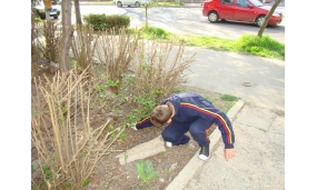 Curatenia de primavara cu elevii Scolii Gimnaziale "Alexandru Vlahuță" și ai Colegiului "Edmond Nicolau" - 19 aprilie 2018