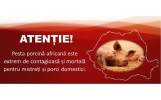 Plan de masuri stabilit pentru suspicionarea evolutiei Pestei Porcine Africane