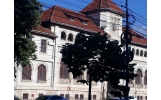 Primăria Focșani taie cablurile rupte