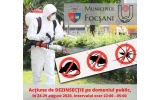 Primăria Municipiului Focșani va demara o acțiune de dezinsecție 