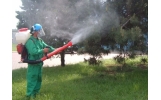 Primăria Focșani face dezinsecție în parcurile din oraș