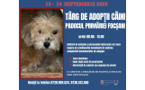 Târg de adopţii la padocul Primăriei Municipiului Focşani
