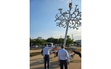 „Plantăm” în această după amiază primul arbore solar inteligent din Municipiul Focșani