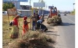 Luata de curand in administrarea Directiei de Dezvoltare, Soseaua de Centura a fost igienizata de catre asistatii sociali
