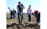 Plantam stejari in Parcul Memoriei Nationale