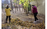 Beneficiarii de ajutor social din Municipiul Focșani sunt implicați în activități de salubrizare 