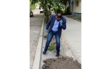 Pe strada Timotei Cipariu lucrările sunt executate corect